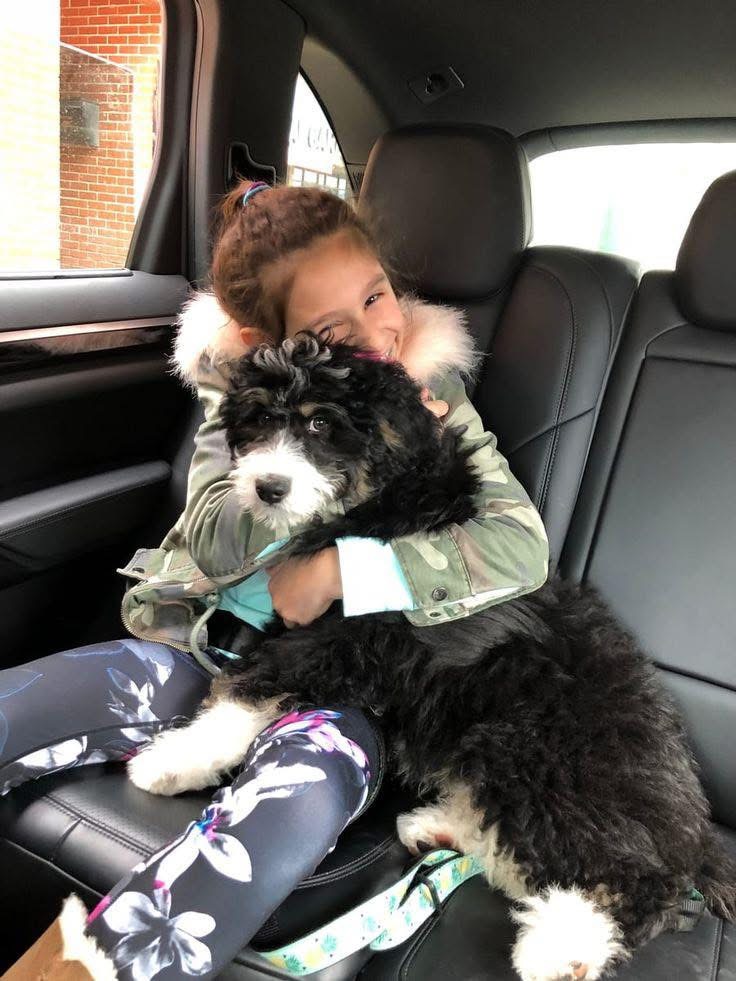 Photo of Grace's dog