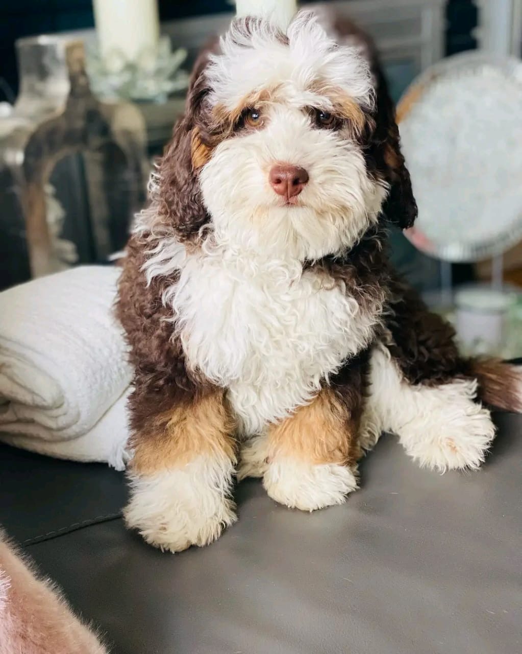 Thumbnail of Rubin